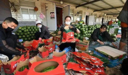 潍坊吃瓜群众爆料事件,吃瓜群众揭秘最新热点事件